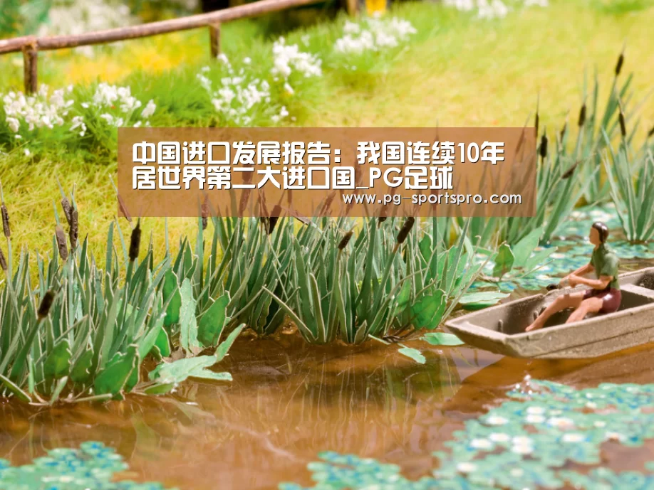 中国进口发展报告:我国连续10年居世界第二大进口国_PG足球(图3) PG篮球