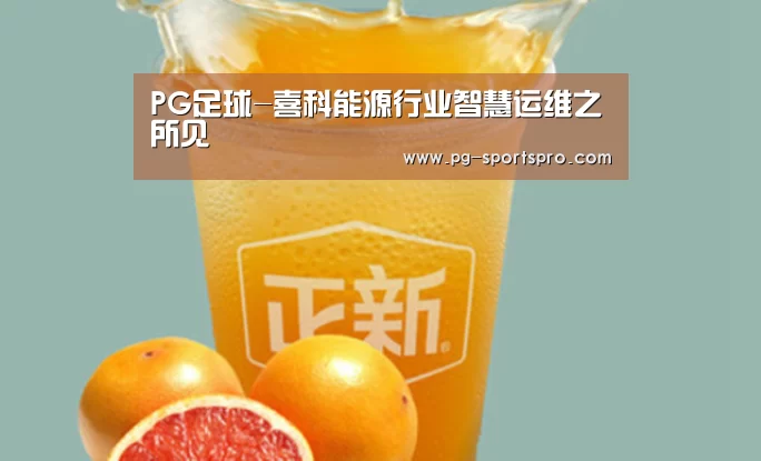 PG足球-喜科能源行业智慧运维之所见(图1) PG足球