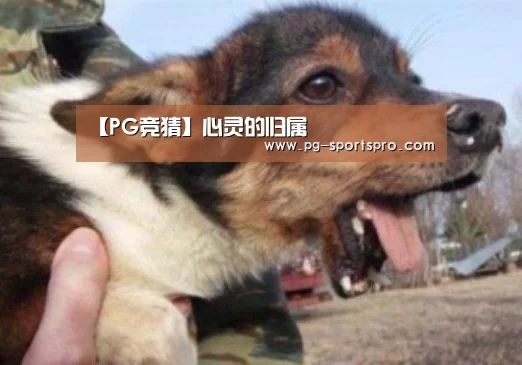 【PG竞猜】心灵的归属