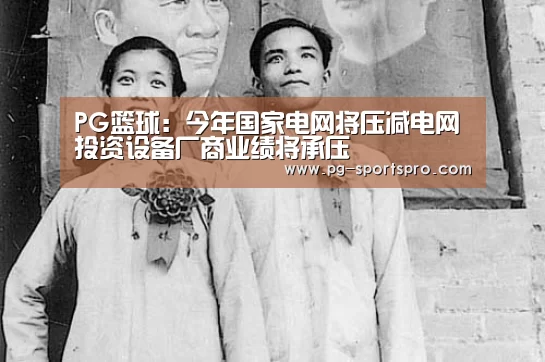 PG篮球:今年国家电网将压减电网投资设备厂商业绩将承压(图1) PG足球