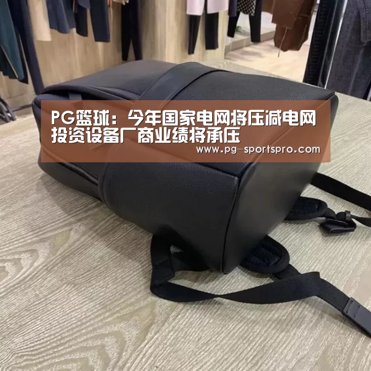 PG篮球:今年国家电网将压减电网投资设备厂商业绩将承压(图2) PG篮球